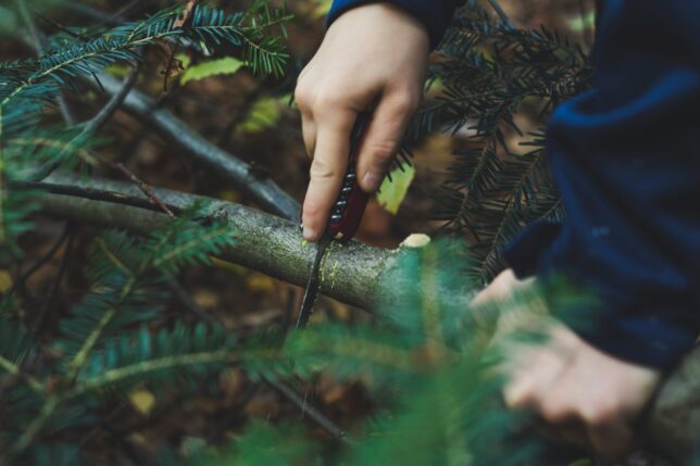 Inicio supervivencia bushcraft
